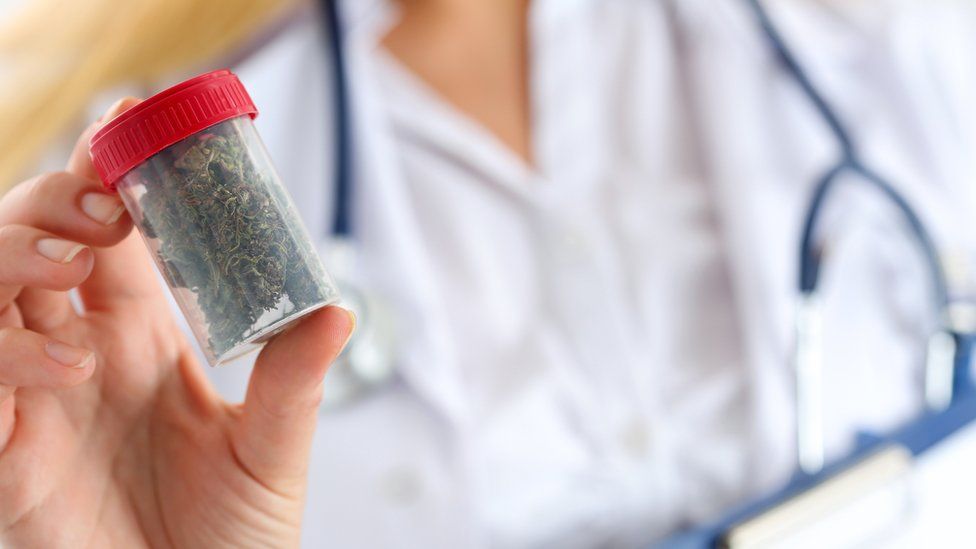 doctor holding a sample of cannabis