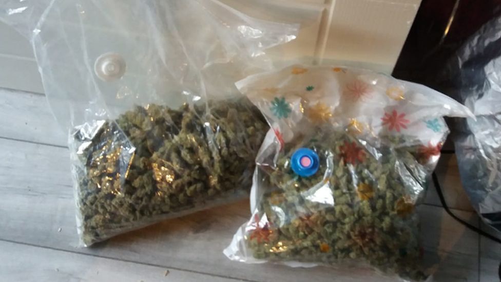 Bags of cannabis