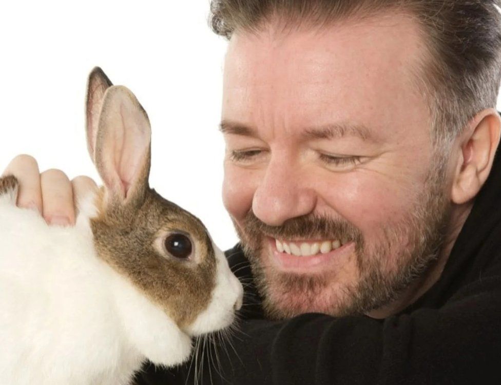Ricky Gervais with a rabbit in publicity photo for Cruelty Free International