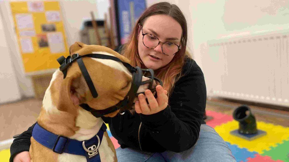 Ellie Lonsdale plays with XL bully Frankie, who is wearing a muzzle