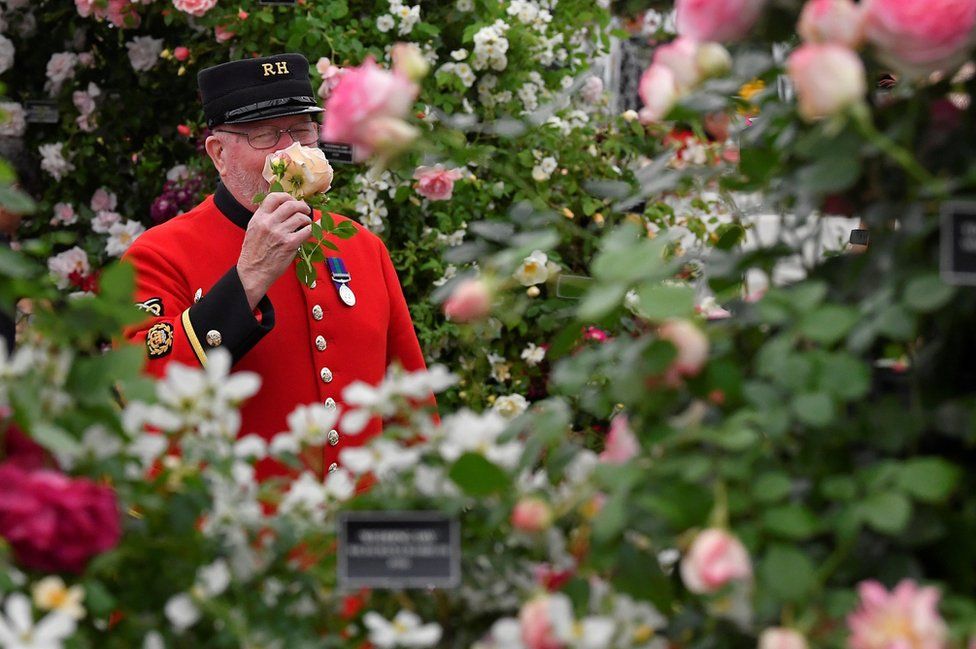 A Chelsea Pensioner at Chelsea Flower Show