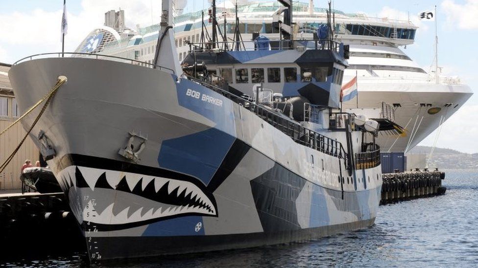 Sea Shepherd to stop intercepting Japanese whaling vessels - BBC News