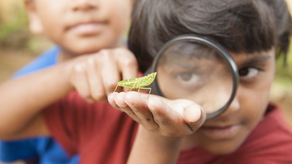 kid-looking-at-bug-through-magnifying-glass.