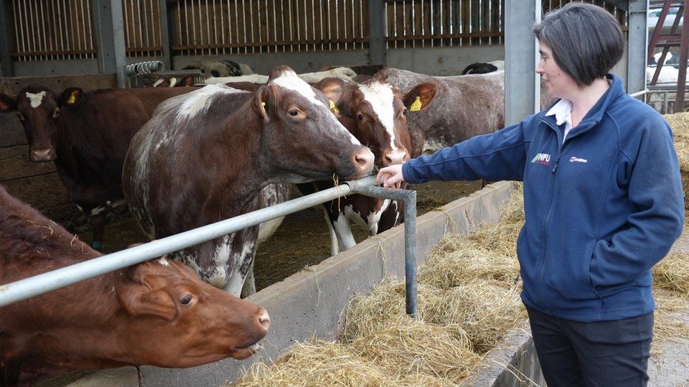 Abi Reader, NFU Cymru deputy president, who has a dairy farm in Wenvoe, Vale of Glamorgan
