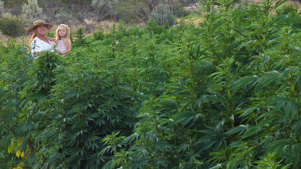 Elliot Brown and his daughter with his hemp crop