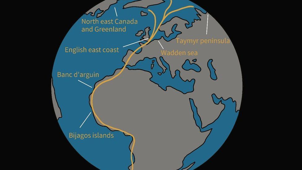 The route of the East Atlantic Flyway