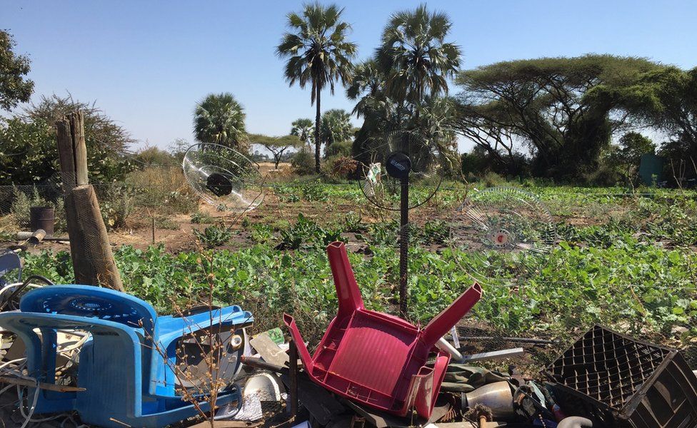 Plastic refuse is used to try and deter elephants from farmland
