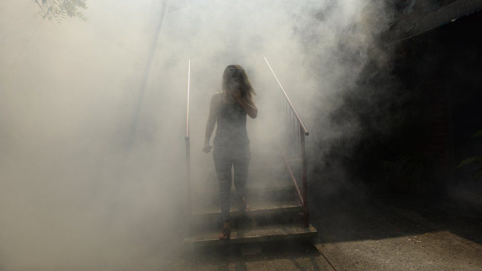 A woman walks through the fumes as fumigation against the Aedes aegypti mosquito to prevent the spread of the Zika virus happens