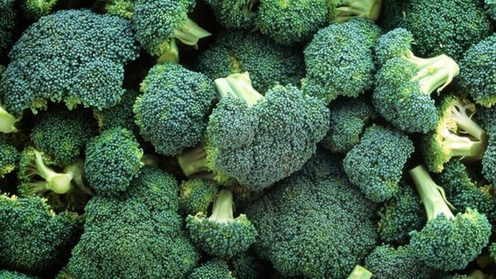 Several heads of broccoli