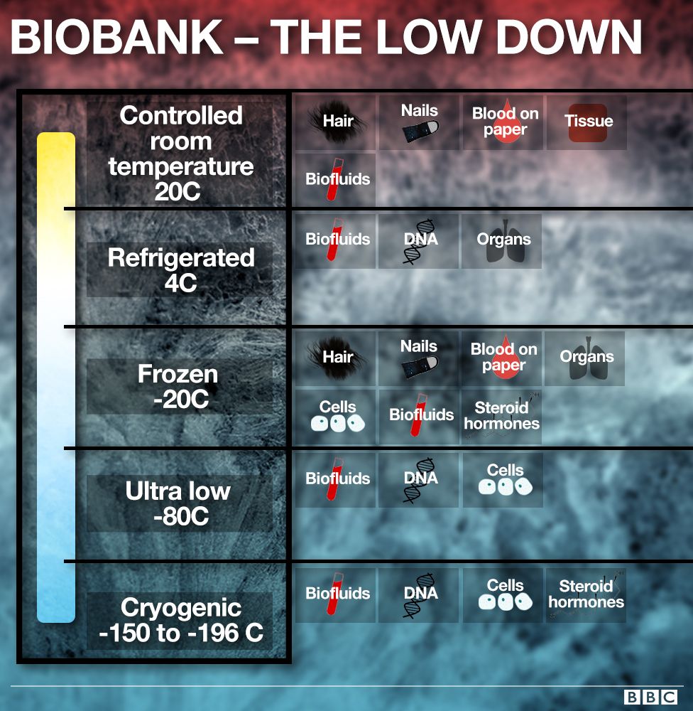 Biobank temperature graphic