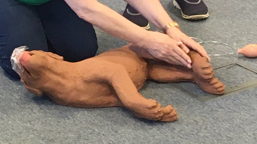 A mannequin dog on its side