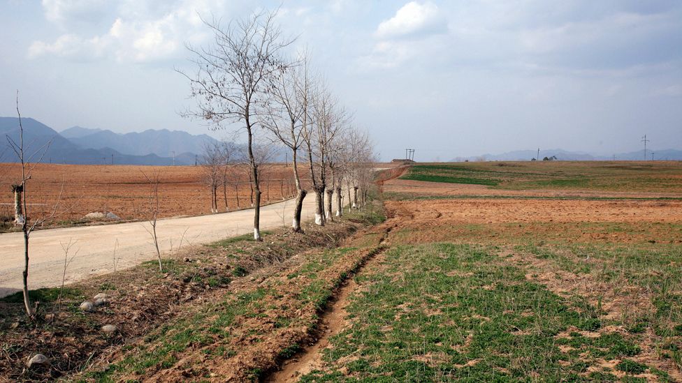 North korean farm land