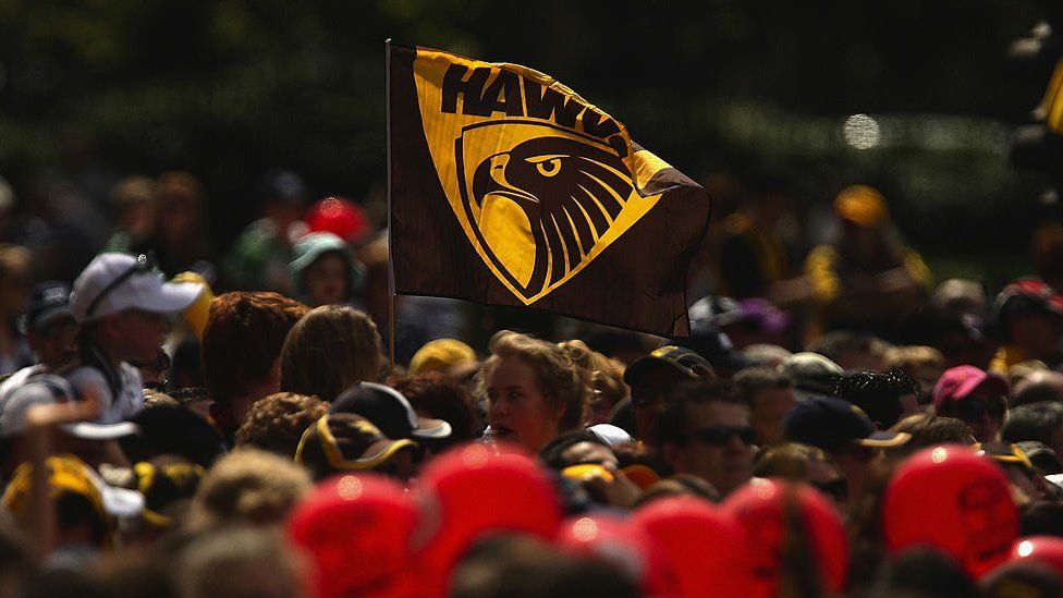 A Hawthorn team flag flies above a crowd