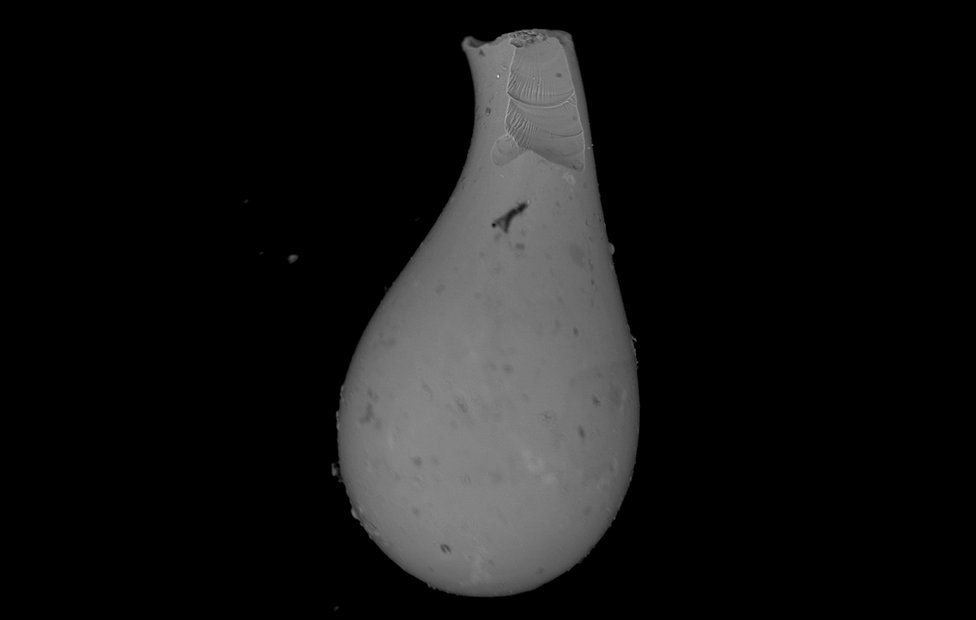 Tektite