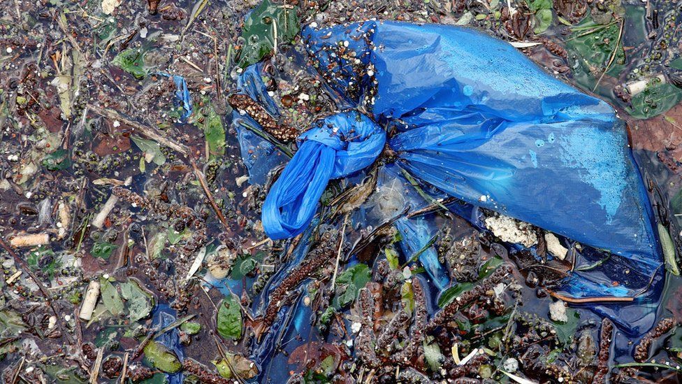 Plastic Bags in Our Environment - Pacific Beach Coalition