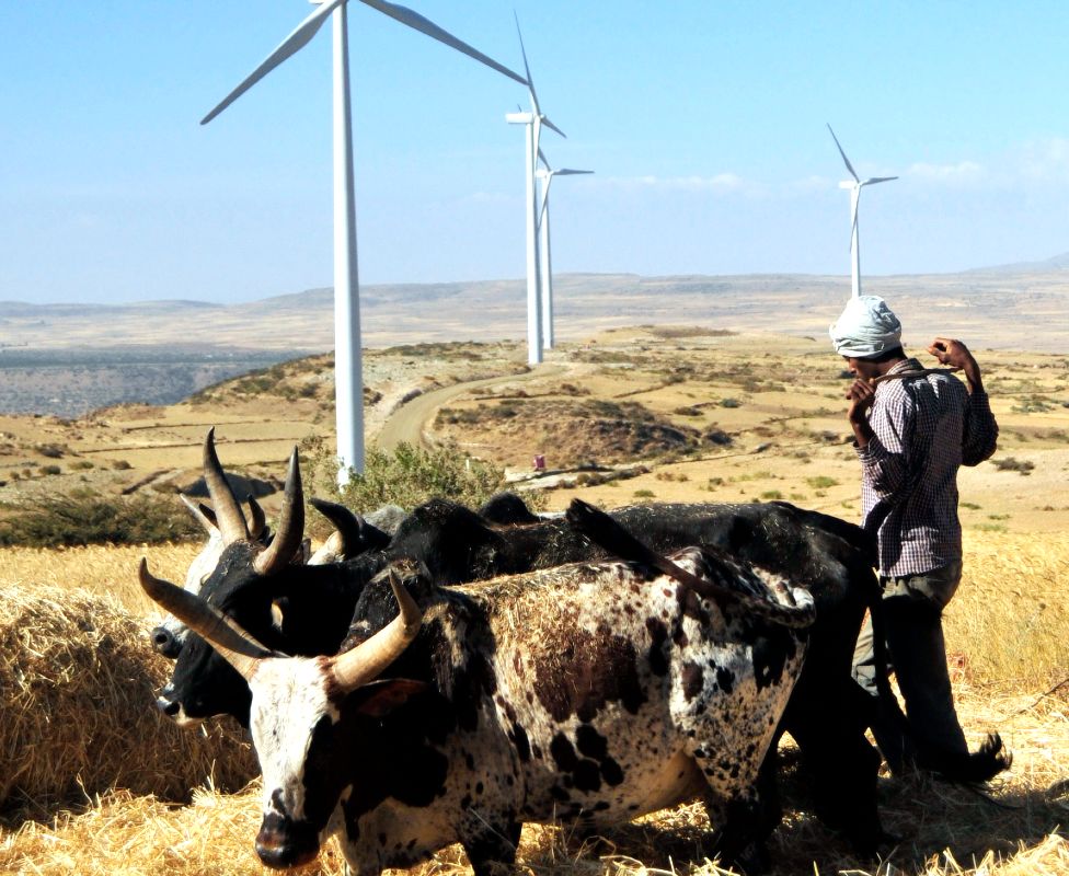 Мужчина работает на дороге рядом с турбинами ветряной электростанции Ашегода в северной части Эфиопии Тиграй, 28 ноября 2013 г.