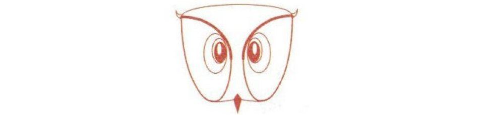 Owl motif from Sur La Trace de La Chouette d'Or