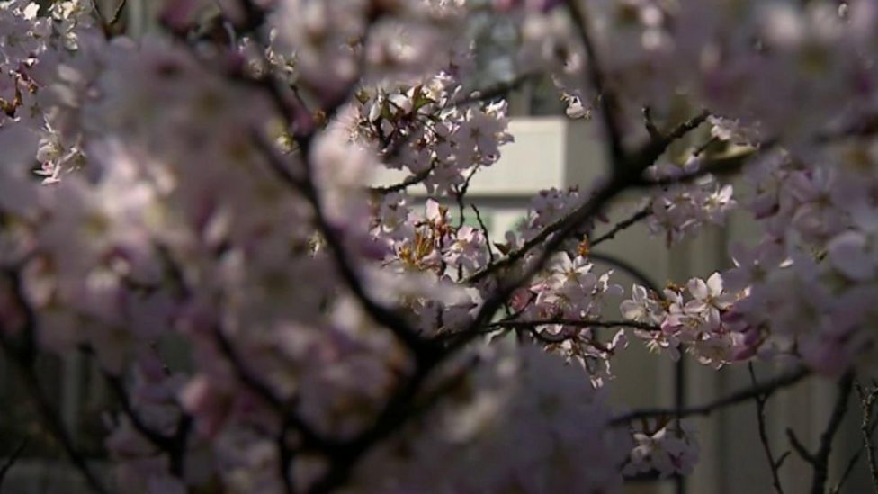 Children given crayons before 230yearold statue at Croome scrawled on
