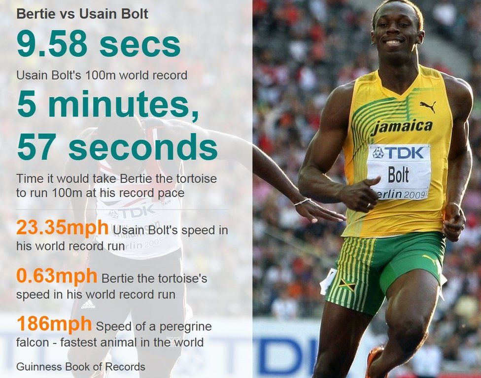 Usain bolt world record 100m