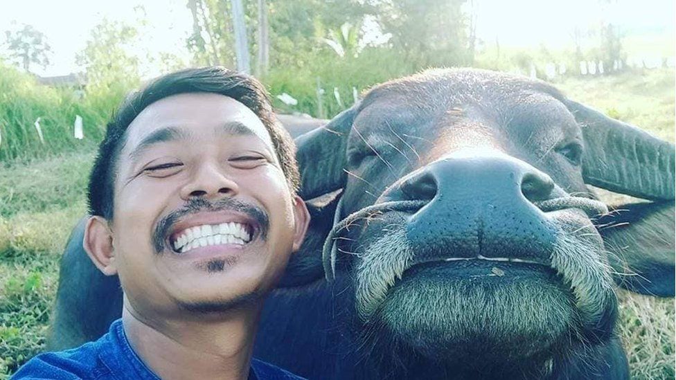 farmer Thailand who became friends with a buffalo - BBC