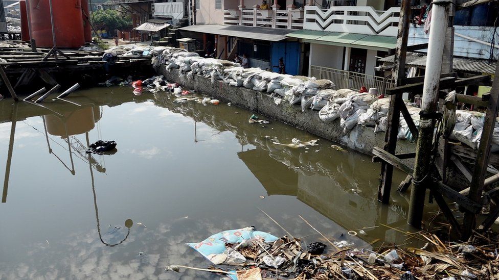 Picture of a dike in North Jakarta.