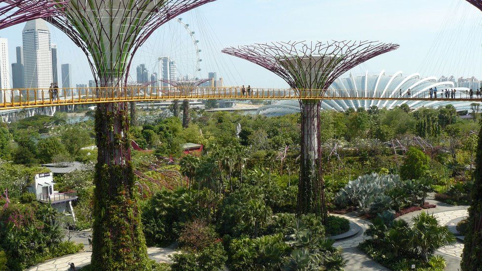 Singapore Gardens by the bay