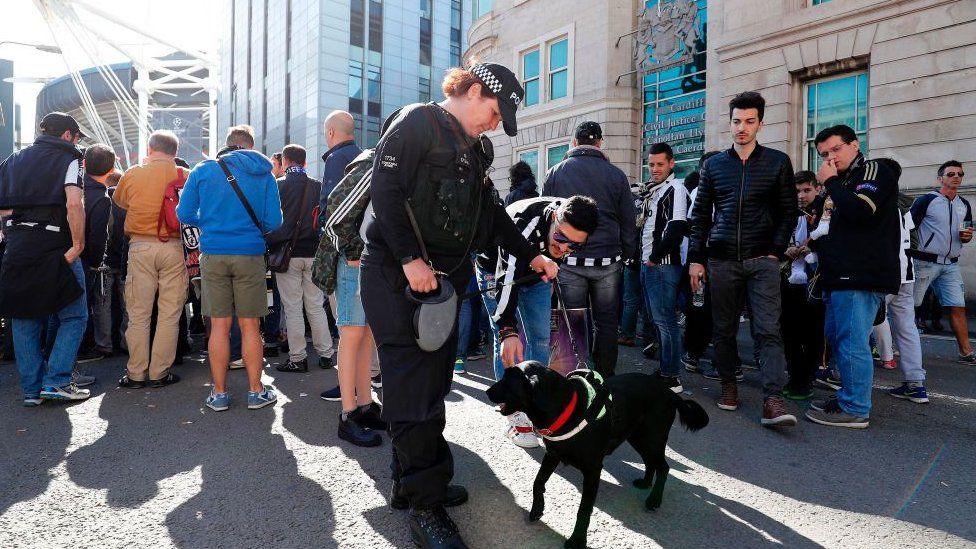 police dog is stroked by a fan at the Champions League final in Cardiff