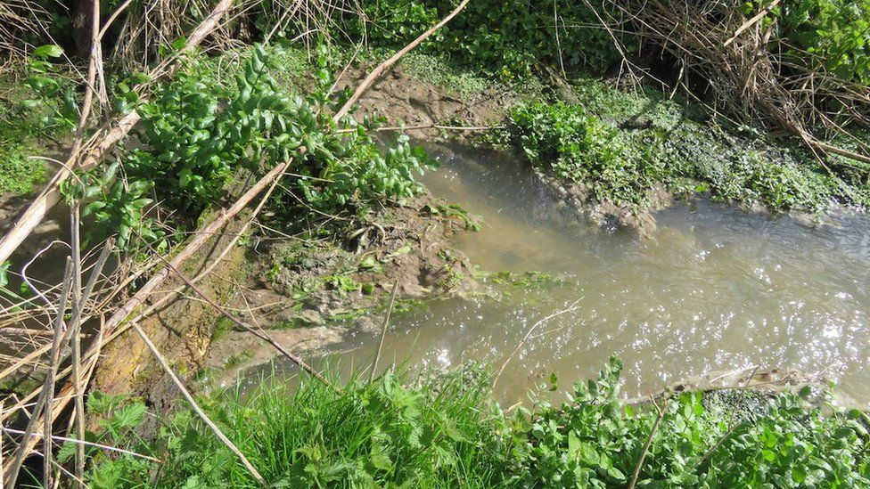 Pollution in stream on River Ver
