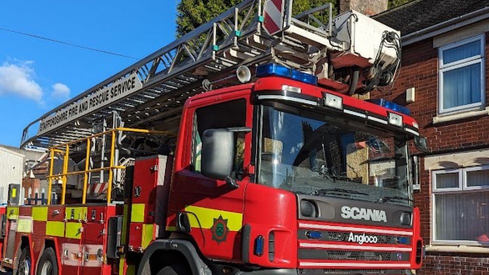 Cat freed from tree by Stoke-on-Trent firefighters - BBC News