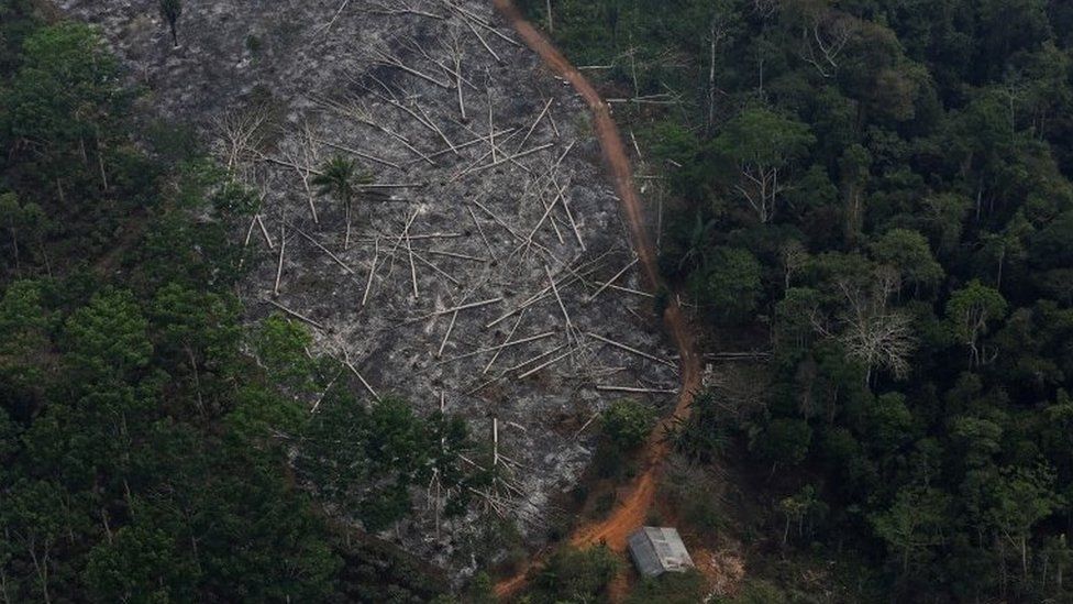 An aerial view of a deforested plot of the Amazon at the Bom Futuro National Forest in Porto Velho, Rondonia State, Brazil, September 3, 2015