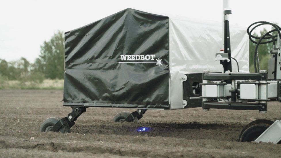 A picture of a Weedbot robot zapping weeds with a laser in a field.