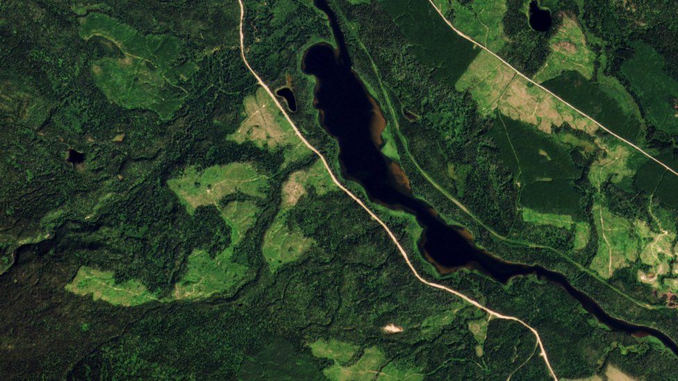 Satellite images show forests cut down in British Columbia