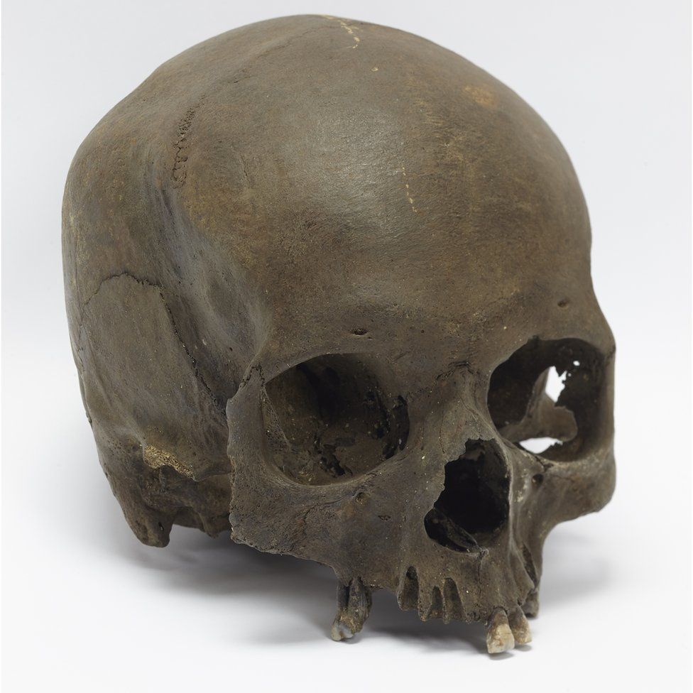 Iron Age skull
