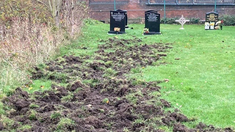 Rotherham Pigs cause havoc digging up Thrybergh graveyard BBC News
