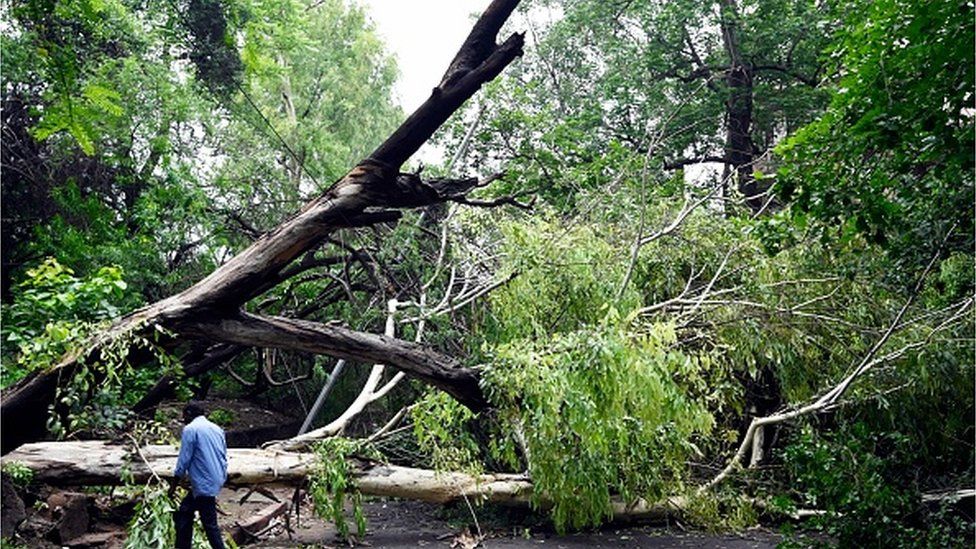 A tree gets fallen on road after heavy rains near ITO, on July 9, 2023 in New Delhi, India