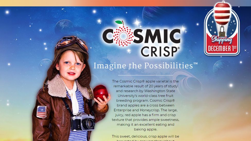 An advert for Cosmic Crisp