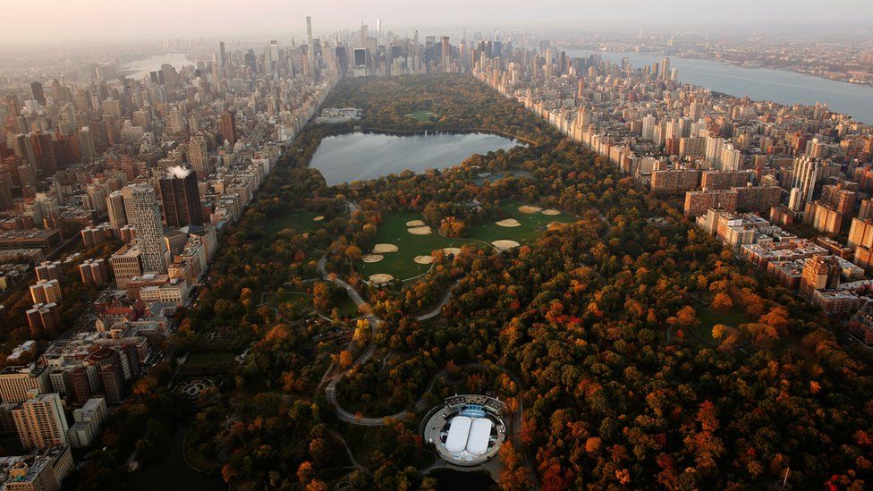 The rising sun lights trees in Central Park above the southern portion of the Manhattan borough of New York