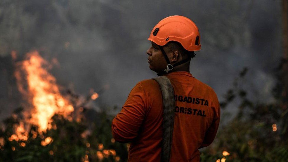 Firefighters working on a fire in a green area between Manaus and Iranduba, in the Amazon, Brazil, on 05 September 2023.