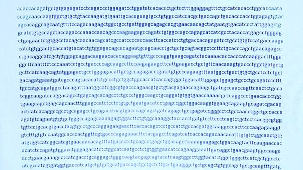 informacion sobre el virus en ingles informacion sobre el virus en ingles