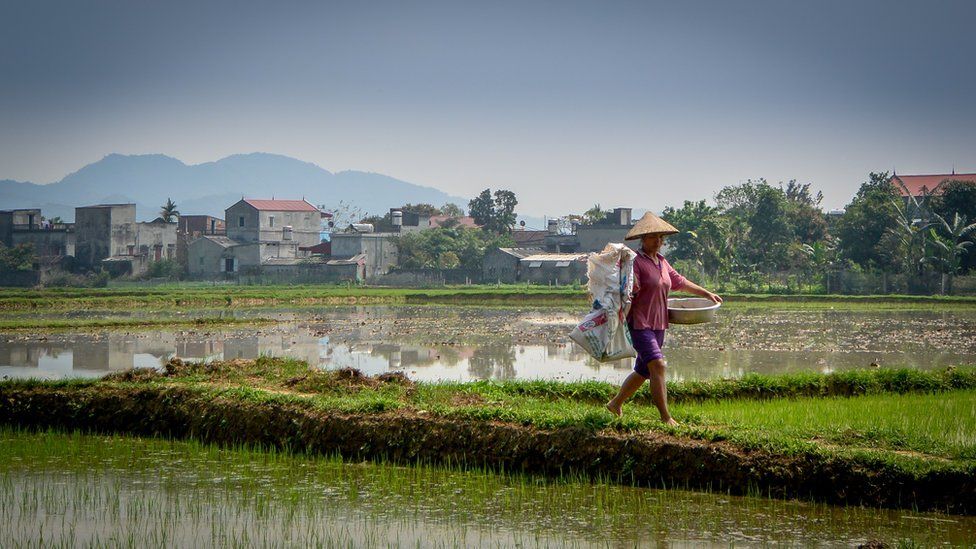 Vietnamese farmer carrying fertilizer