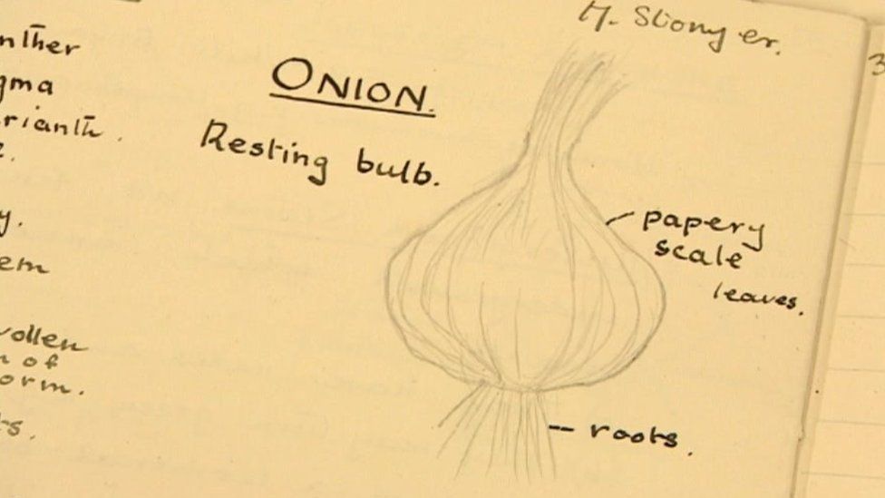 A page from Mona Stonyer's science book