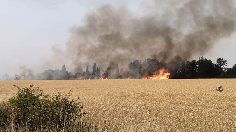 Field catches fire on outskirts of Ipswich BBC News