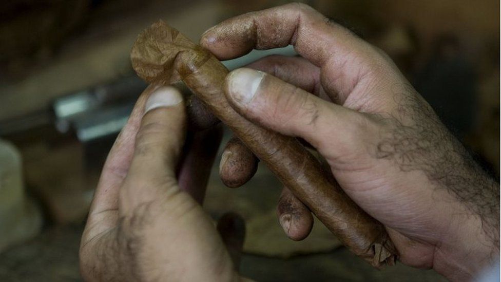 A man rolls a cigar at the Cohiba factory in Havana, on 27 February 2008.