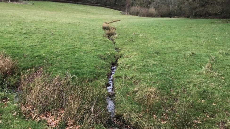 Tributaries on the estate