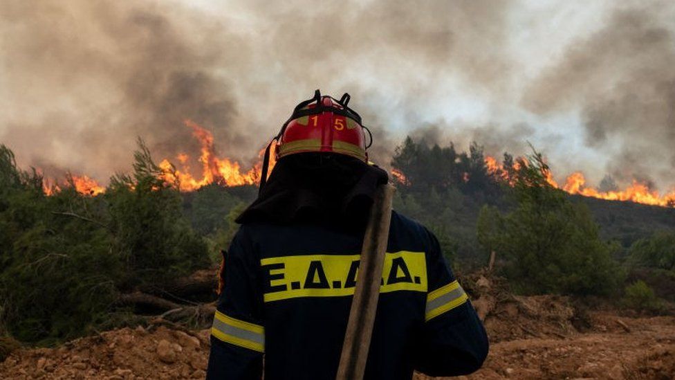 Пожарные тушат лесной пожар недалеко от Афин