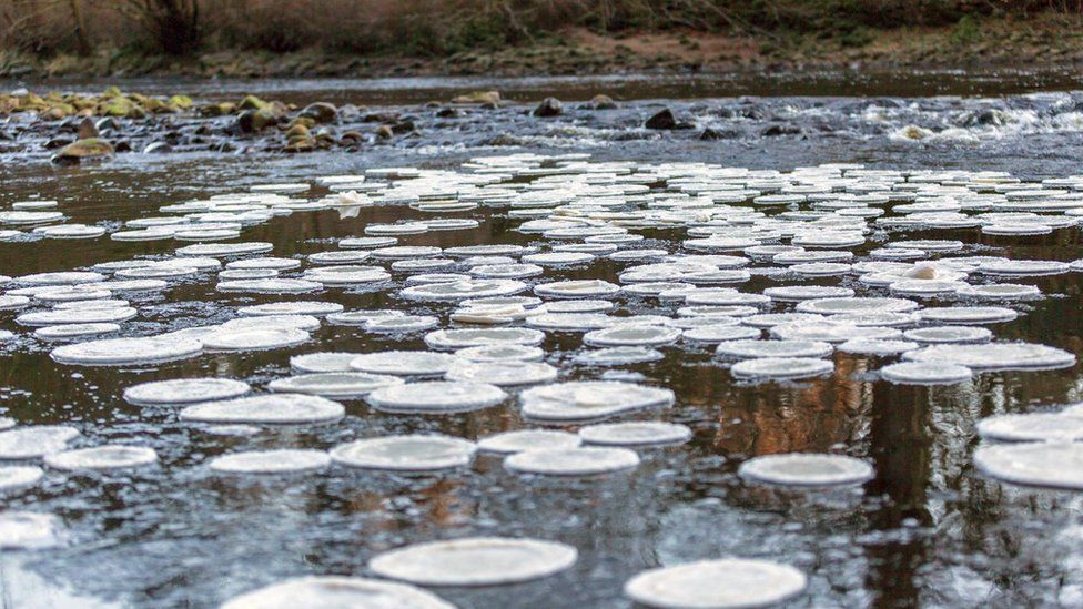 Rare ice pancakes form on River Swale in Richmond BBC News