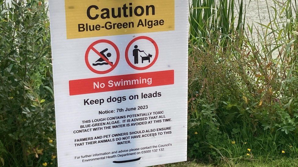 A sign that warns swimmers against entering Lough Neagh due to "potentially toxic" blue-green algae