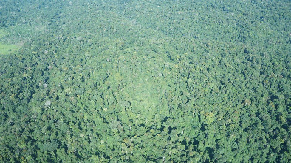 Aerial view of rainforest in Mato Grosso, Brazil (July 2015)