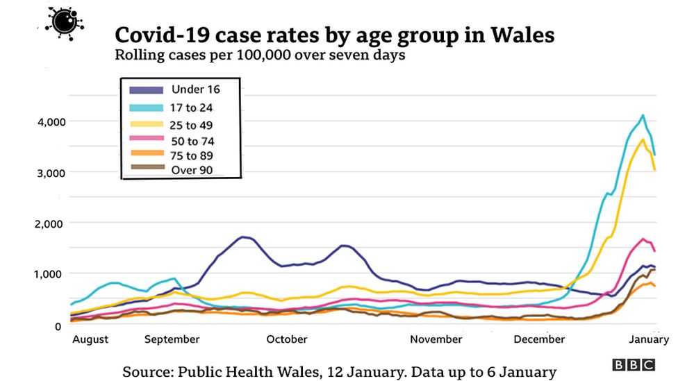Graph showing case rates in different age groups