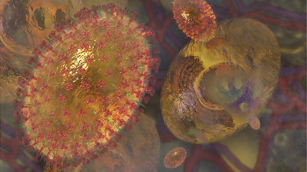 An illustration of H3N2 virus or influenza A